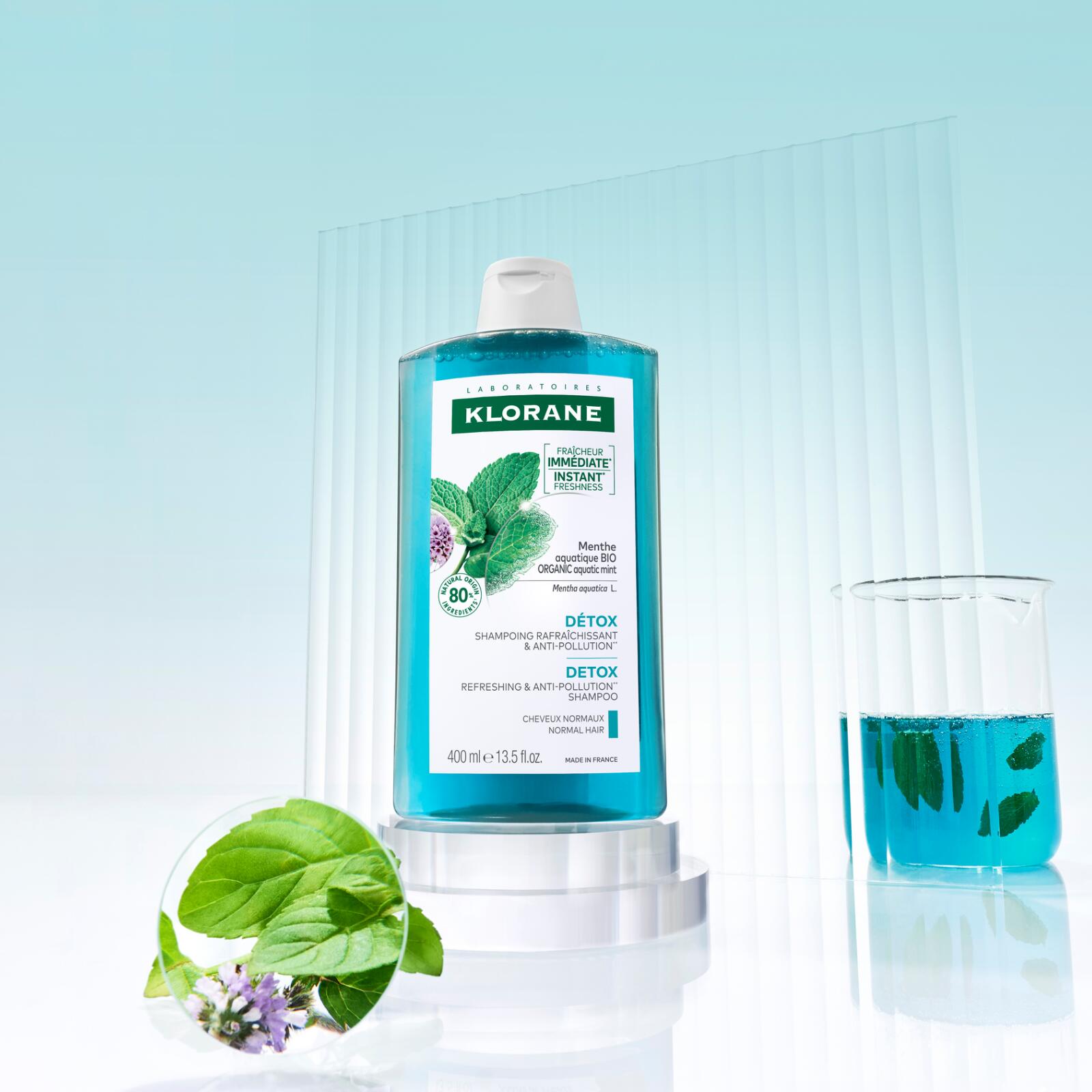 Mięta nadwodna, naturalny eliminator zanieczyszczeń